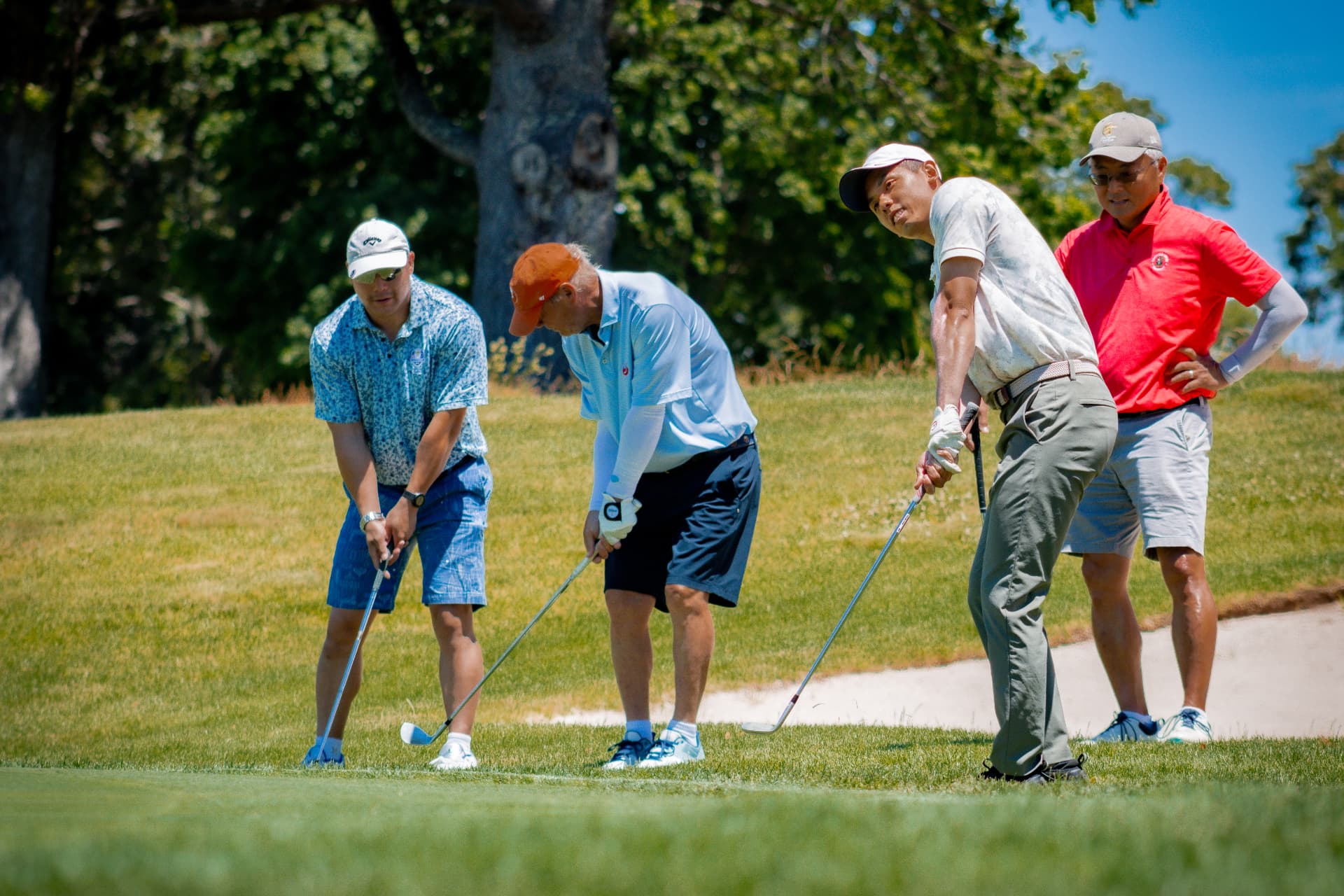 Golfers chipping onto the green during the outing